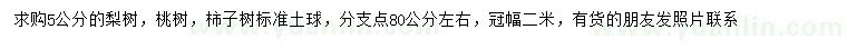 求購(gòu)梨樹(shù)、桃樹(shù)、柿子樹(shù)