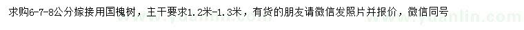 求購6、7、8公分國槐