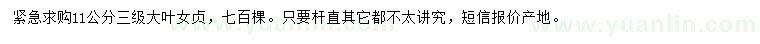 求購11公分大葉女貞