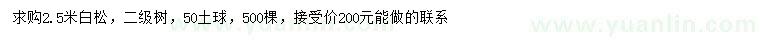 求購2.5米白松
