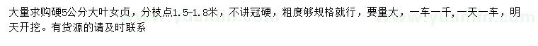 求購5公分大葉女貞