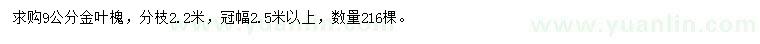 求購9公分金葉槐