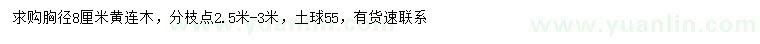 求購(gòu)胸徑8公分黃連木