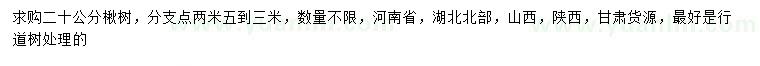 求購20公分楸樹