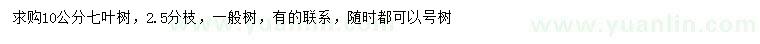 求購10公分七葉樹