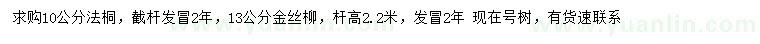 求購10公分法桐、13公分金絲柳
