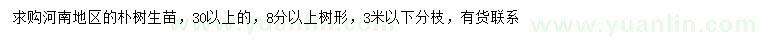 求購30公分樸樹