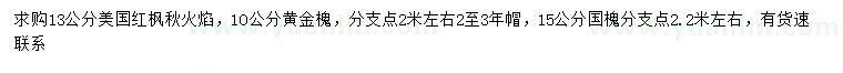 求購美國紅楓秋火焰、黃金槐、國槐