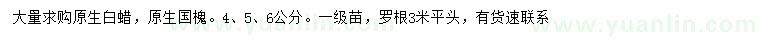 求購4、5、6公分原生白蠟、原生國槐