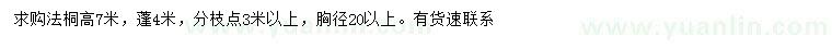 求購胸徑20公分以上法桐