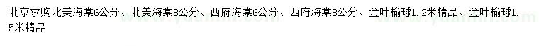 求購北美海棠、西府海棠、金葉榆球