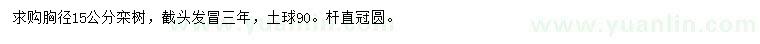 求購胸徑15公分欒樹