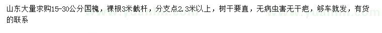 求購15-30公分國槐
