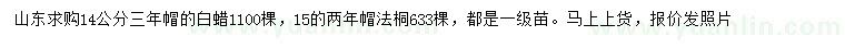 求購14公分白蠟、15公分法桐