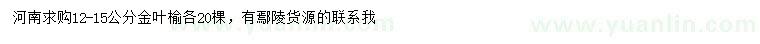 求購12-15公分金葉榆