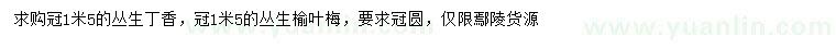 求購冠幅1.5米叢生丁香、叢生榆葉梅