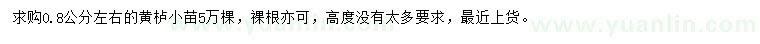 求購0.8公分左右黃櫨
