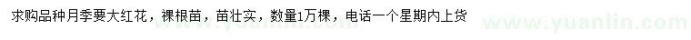 求購(gòu)大紅花月季