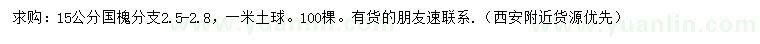 求購15公分國槐