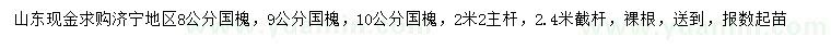 求購8、9、10公分國槐