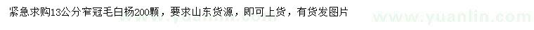 求購13公分毛白楊