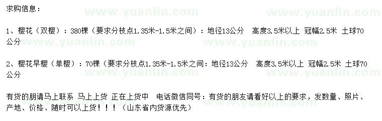 求購地徑13公分雙櫻、單櫻