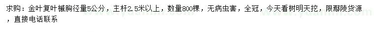求購胸徑5公分金葉復(fù)葉槭