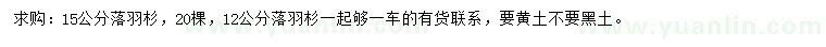 求購12、15公分落羽杉