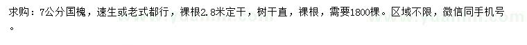 求購7公分國槐