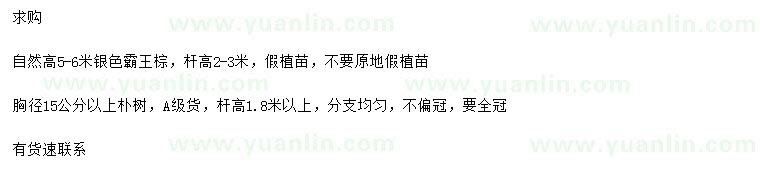 求購(gòu)高5-6米銀色霸王棕、胸徑15公分以上樸樹