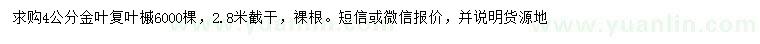 求購4公分金葉復(fù)葉槭