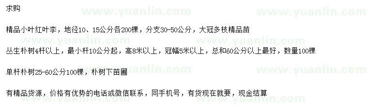 求購小葉紅葉李、叢生樸樹、樸樹