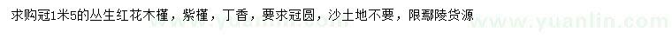 求購叢生紅花木槿、紫槿、丁香
