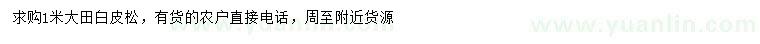求購(gòu)1米白皮松