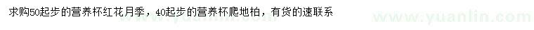 求購50公分以上紅花月季、40公分以上爬地柏