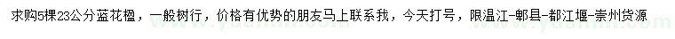 求購23公分藍花楹