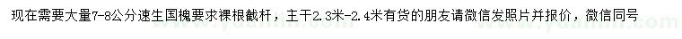 求購7-8公分速生國槐