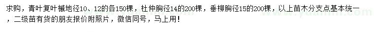 求購(gòu)青葉復(fù)葉槭、杜仲、垂柳