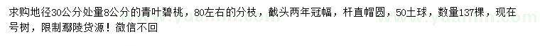 求購30量8公分青葉碧桃