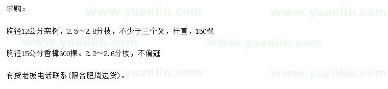 求購(gòu)胸徑12公分欒樹(shù)、15公分香樟