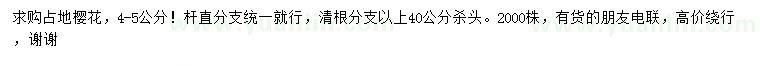 求購4-5公分櫻花