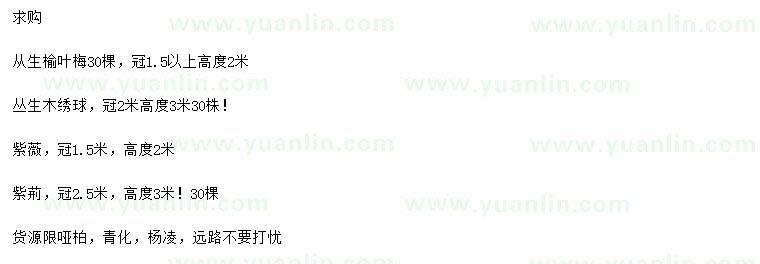 求購叢生榆葉梅、叢生木繡球、紫薇等