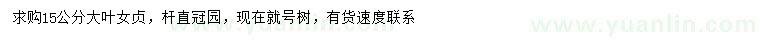 求購15公分大葉女貞
