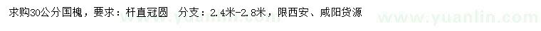 求購(gòu)30公分國(guó)槐
