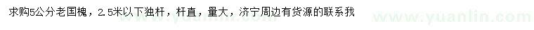 求購(gòu)5公分老國(guó)槐