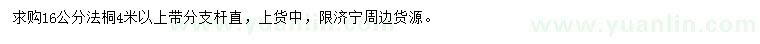 求購(gòu)16公分法桐