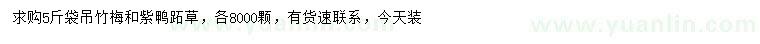 求購吊竹梅、紫鴨跖草