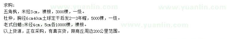 求購五角楓、杜仲老式白蠟