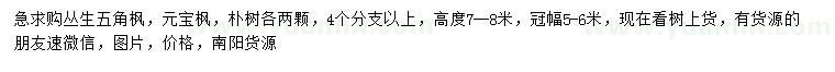 求購(gòu)叢生五角楓、元寶楓、樸樹