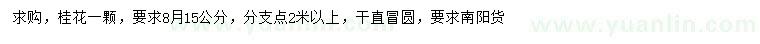 求購15公分桂花